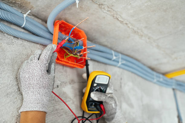 Best Electrician for Home Renovation  in Elk Ridge, UT